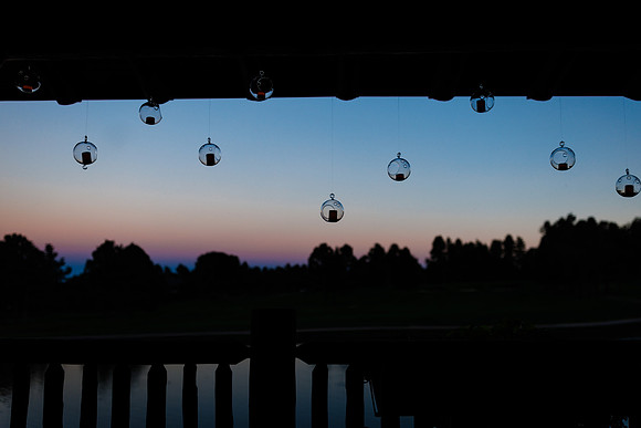 Dan_Liz_Wdg-Detail-63