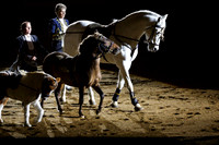 horse-color-19