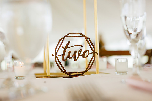 Ashlyn_Brendan_Wdg-Detail-44