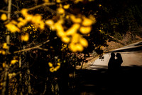 Daniel_Carin_Engagement-Favs-10