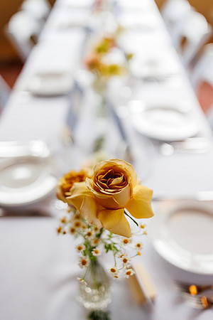 Cooper-Lainey- Detail-15