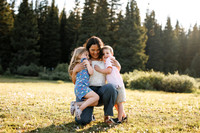 Family-20