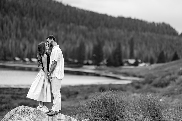 D&K-proposal-favs-40