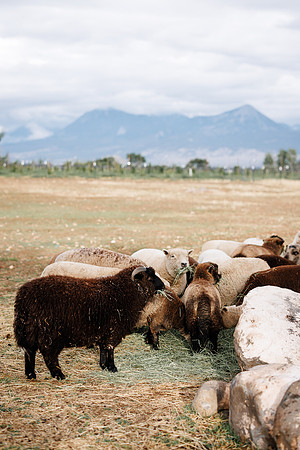 C&J-Welcome-111