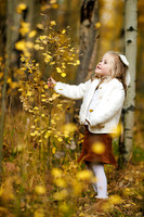 Smith_Favs-2025-16