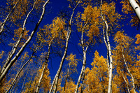 Pat_Micha_Wdg_Detail-19