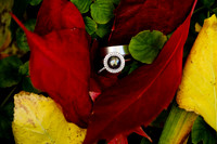 Pat_Micha_Wdg_Detail-13