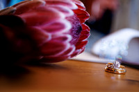 Alex-Iris-Detail-14
