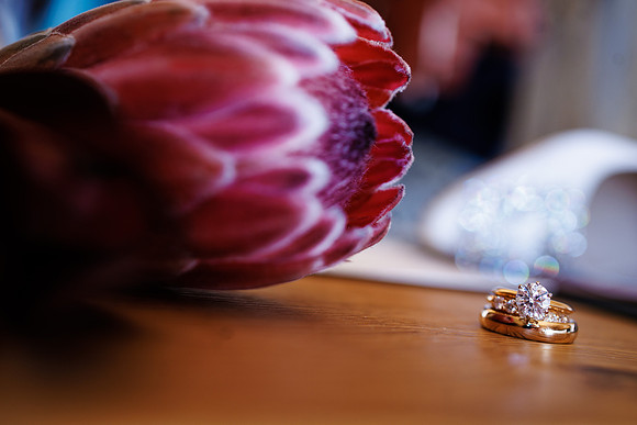 Alex-Iris-Detail-14