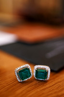 Alex-Iris-Detail-5