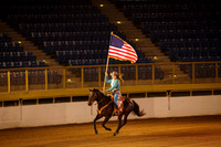 horse-color-15