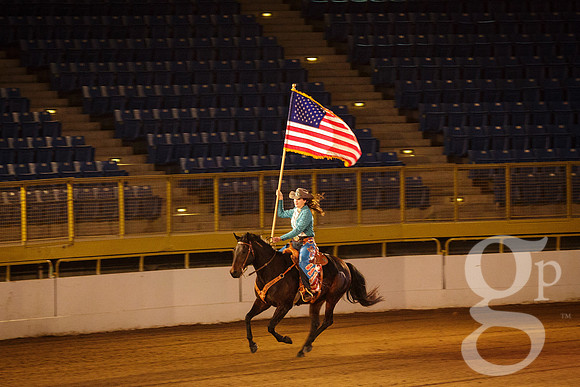 horse-color-15