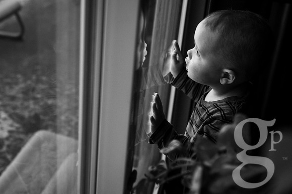 Gillespie_November16-5