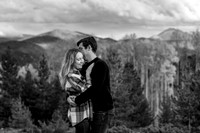 N&S-Favs-5