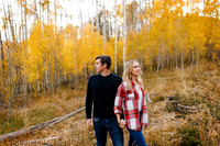 N&S-Favs-19