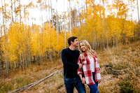 N&S-Favs-20