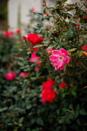G-L_Detail-90