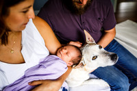 Lulu_Newborn-15