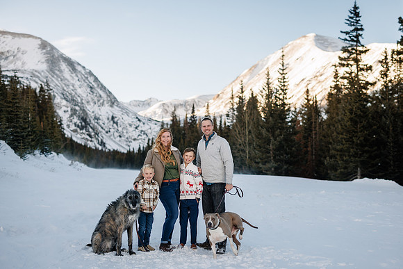 Treiber-2025-17