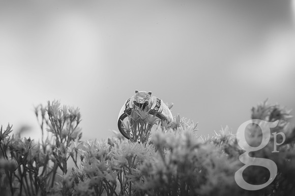 Jamie-Wagner-BW-54