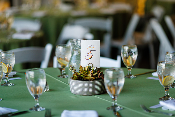 Aaron_Liz_Wdg-Detail-27