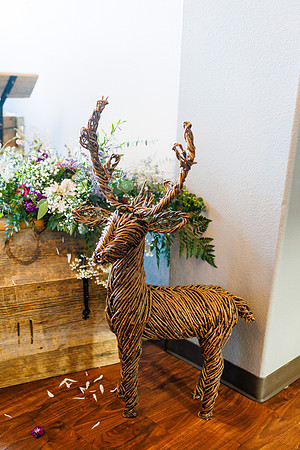 Aaron_Liz_Wdg-Detail-37