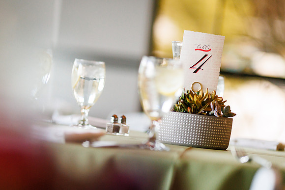 Aaron_Liz_Wdg-Detail-25