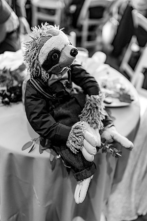 Aaron_Liz_Wdg-Detail-38