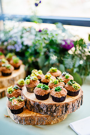 Aaron_Liz_Wdg-Detail-18