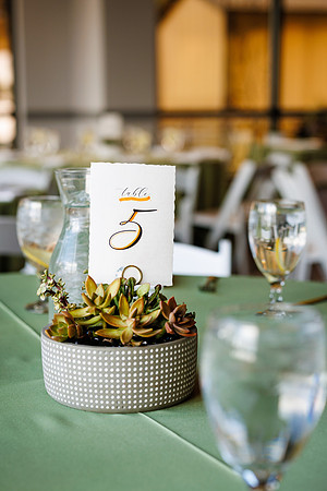 Aaron_Liz_Wdg-Detail-21
