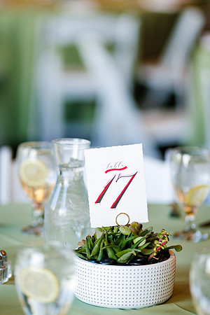Aaron_Liz_Wdg-Detail-29