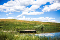 Hawk_Teann_Edited-5