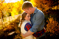 Engagement - Favorites