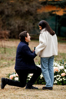 E_R_Proposal-7