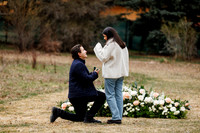 E_R_Proposal-8