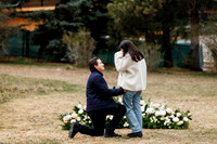 E_R_Proposal-12