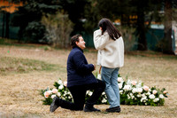 E_R_Proposal-14