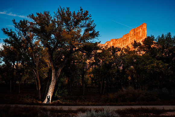 Andrew_Morgan_Wdg-Favorites-130
