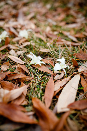 Tim_Mallory_Wdg-Detail-56