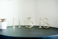 Tim_Mallory_Wdg-Detail-19