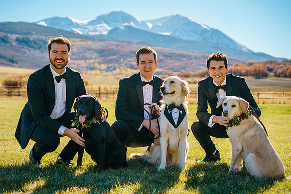 Charlie_McCauley_Wdg-Group-114