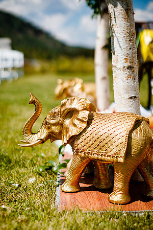 Rohan_Tanya_Wdg-Detail-58