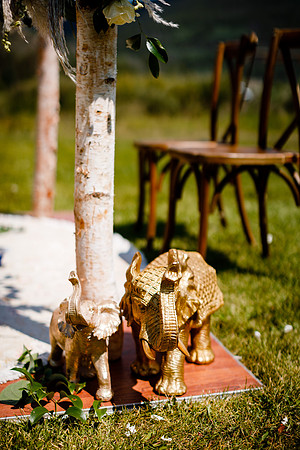 Rohan_Tanya_Wdg-Detail-55