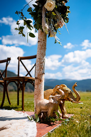 Rohan_Tanya_Wdg-Detail-47