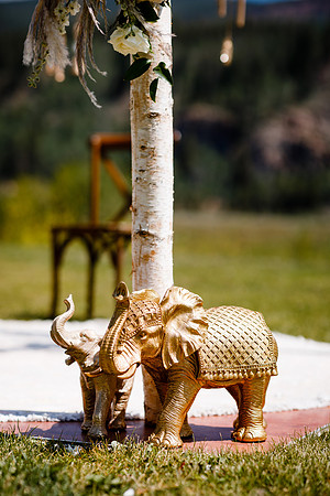 Rohan_Tanya_Wdg-Detail-24