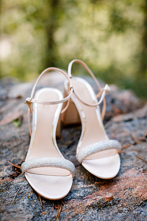Rohan_Tanya_Wdg-Detail-27