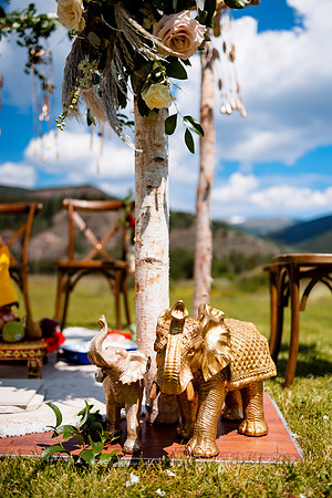 Rohan_Tanya_Wdg-Detail-44