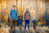 Johnson_Family_2020-Favorites-9
