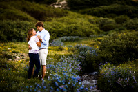 Justin_Katy_Engagments-Favs-17
