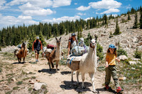 Llam-Backpacking-8